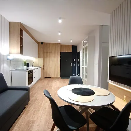 Apartment Alfahome Neopolis B Lodz (Lodz)